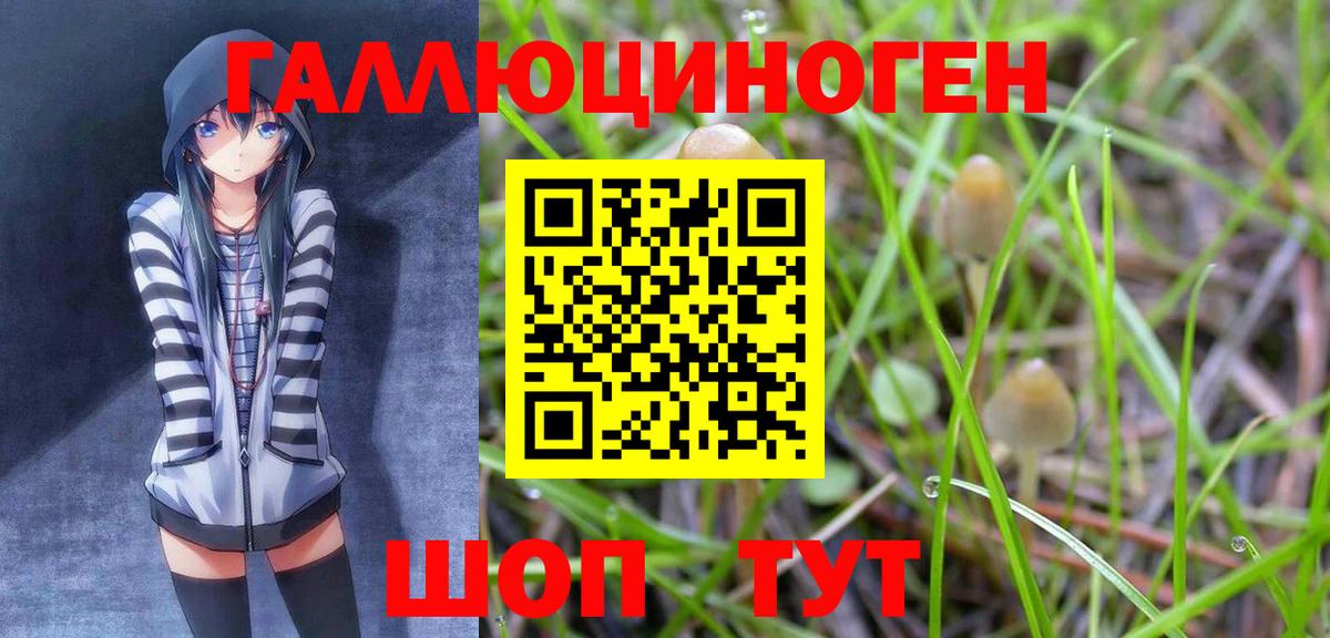 Галлюциногенные грибы мухоморы  Вход с VPN  Кинель  Псилоцибиновые грибы GOLDEN TEACHER 